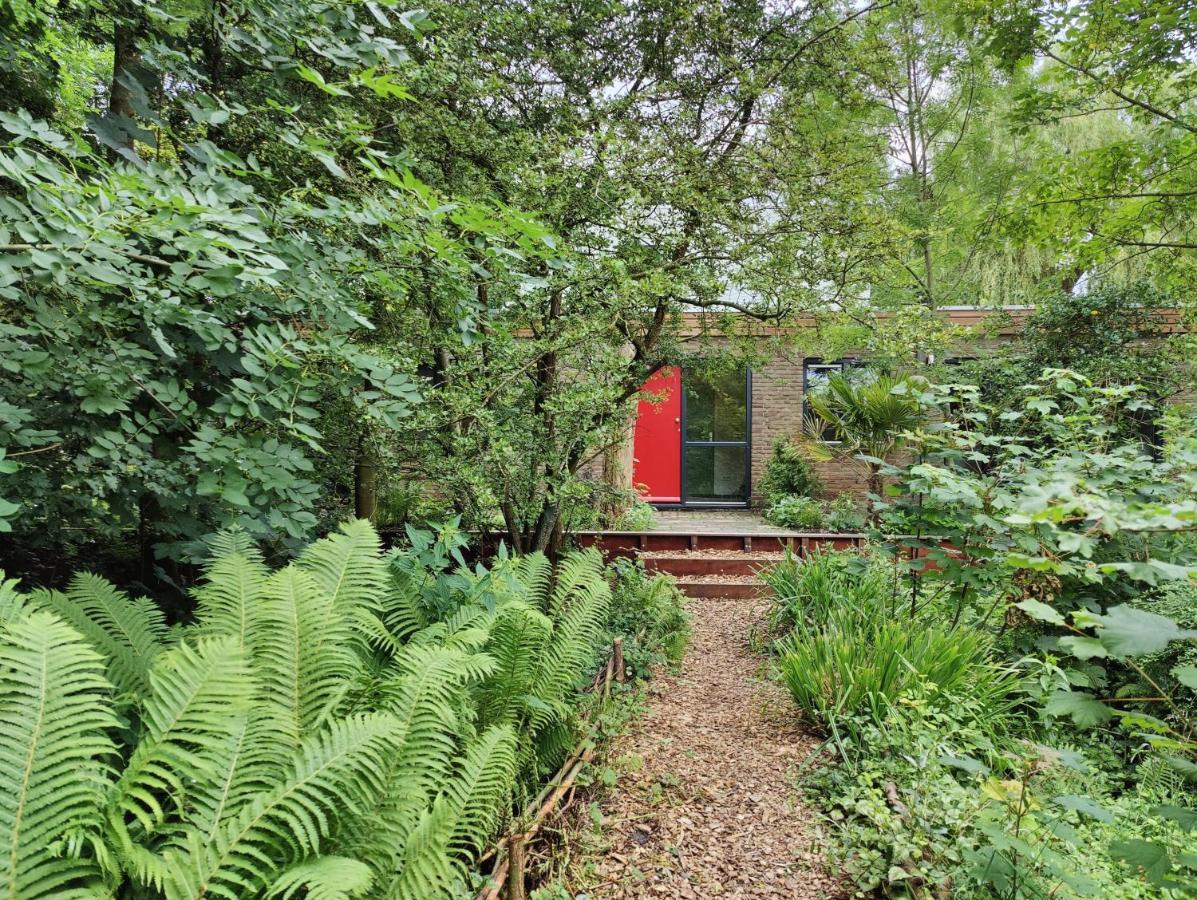 Bed and Breakfast Kwadijkerbos Exterior foto